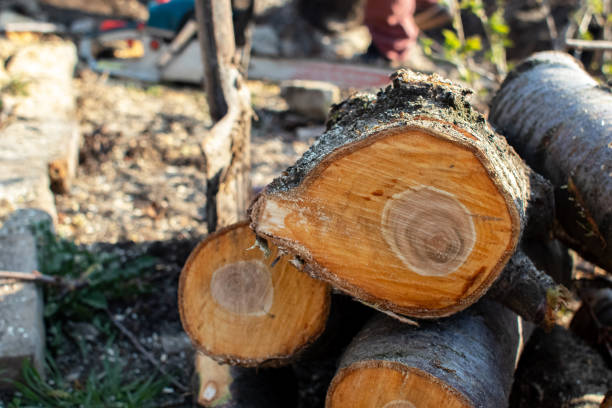 Mulching Services in Apple Creek, OH